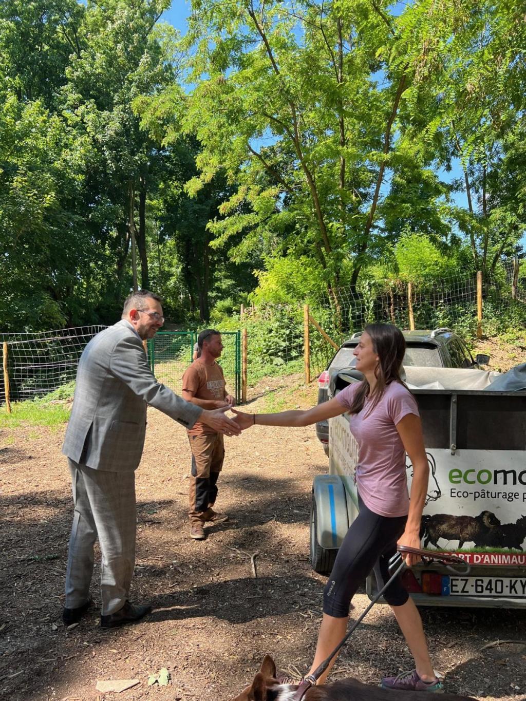 ARRIVEE DES CHÈVRES AU&nbsp;FORT
